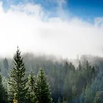 فندق مبيت وإفطار Yoga Alpenretreat *