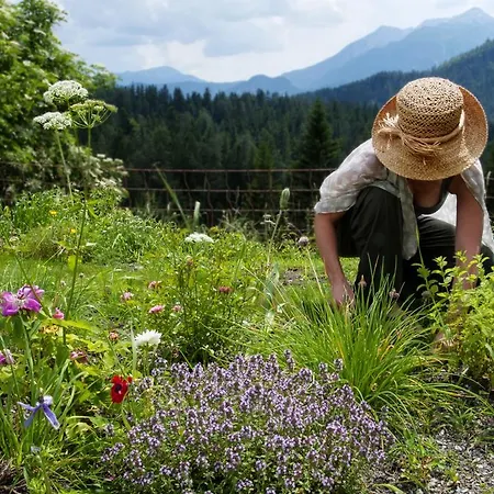 Alpenretreat Bed & Breakfast Nassereith