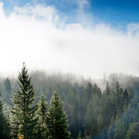 Bed & Breakfast Yoga Alpenretreat *