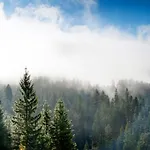 Yoga Alpenretreat